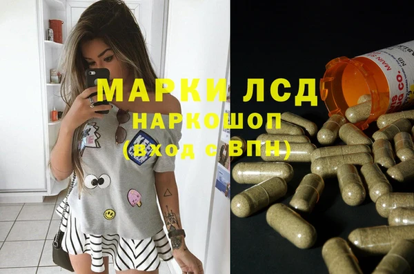 винт Алзамай