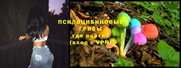 винт Алзамай