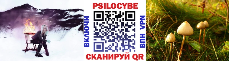 нарко площадка наркотические препараты наркошоп Благодарный Псилоцибиновые грибы MAGIC MUSHROOMS